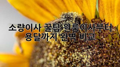 소량이사 꿀팁🍯 원룸이사부터 용달까지 완벽 비교!